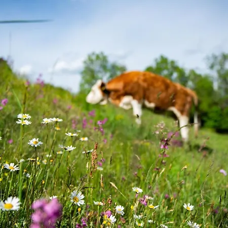 公寓 Hansbauer Appartments *