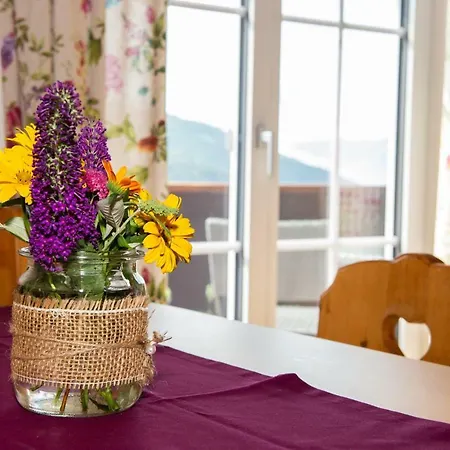 公寓 Hansbauer Appartments *