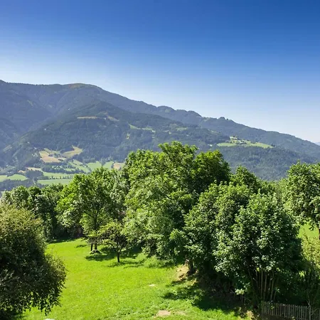 公寓 Hansbauer Appartments *