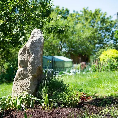Hansbauer Appartments *
