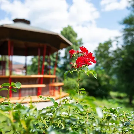 Hansbauer Appartments Appartement