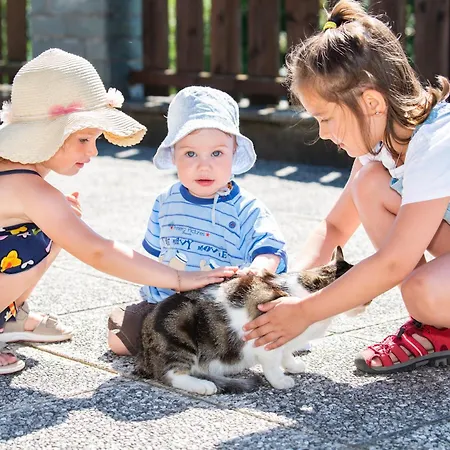Hansbauer Appartments Gmünd