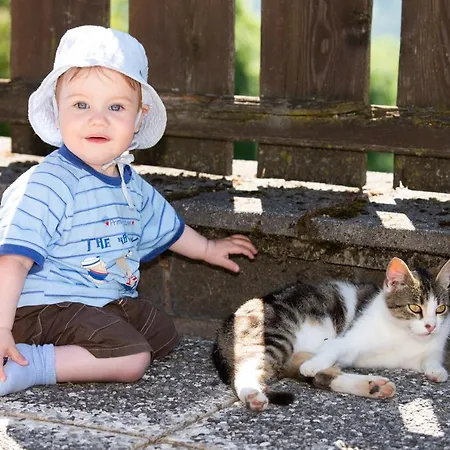 Lägenhet Hansbauer Appartments *