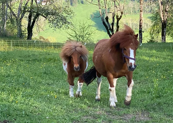 Apartment Hansbauer Appartments *