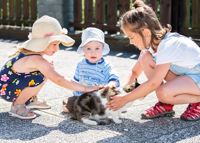 Hansbauer Appartments Gmünd